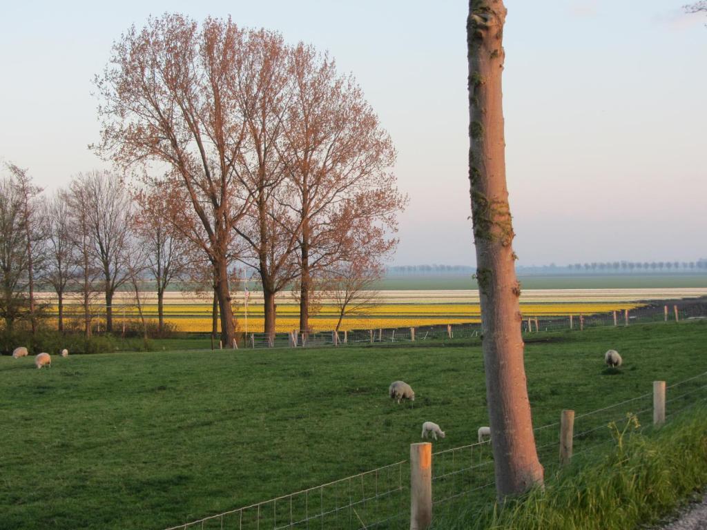 Bed En Breakfast In Het Fruit Zuidoostbeemster Екстериор снимка